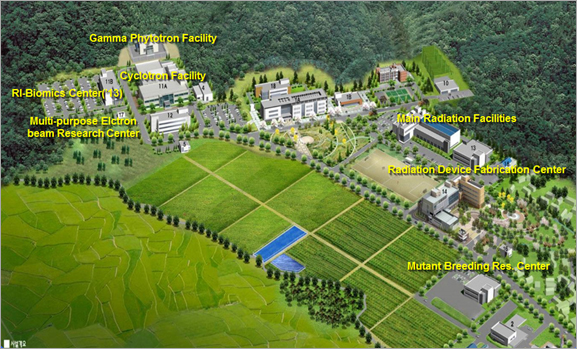 The Bird's-Eye View of ARTI